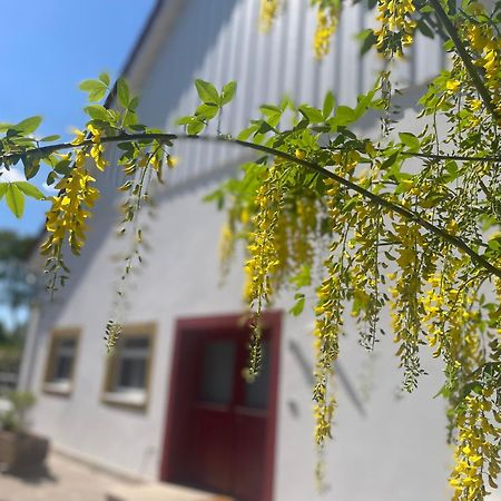 Appartement Mit 2 Schlafzimmern Und Terrasse Halle  Екстериор снимка
