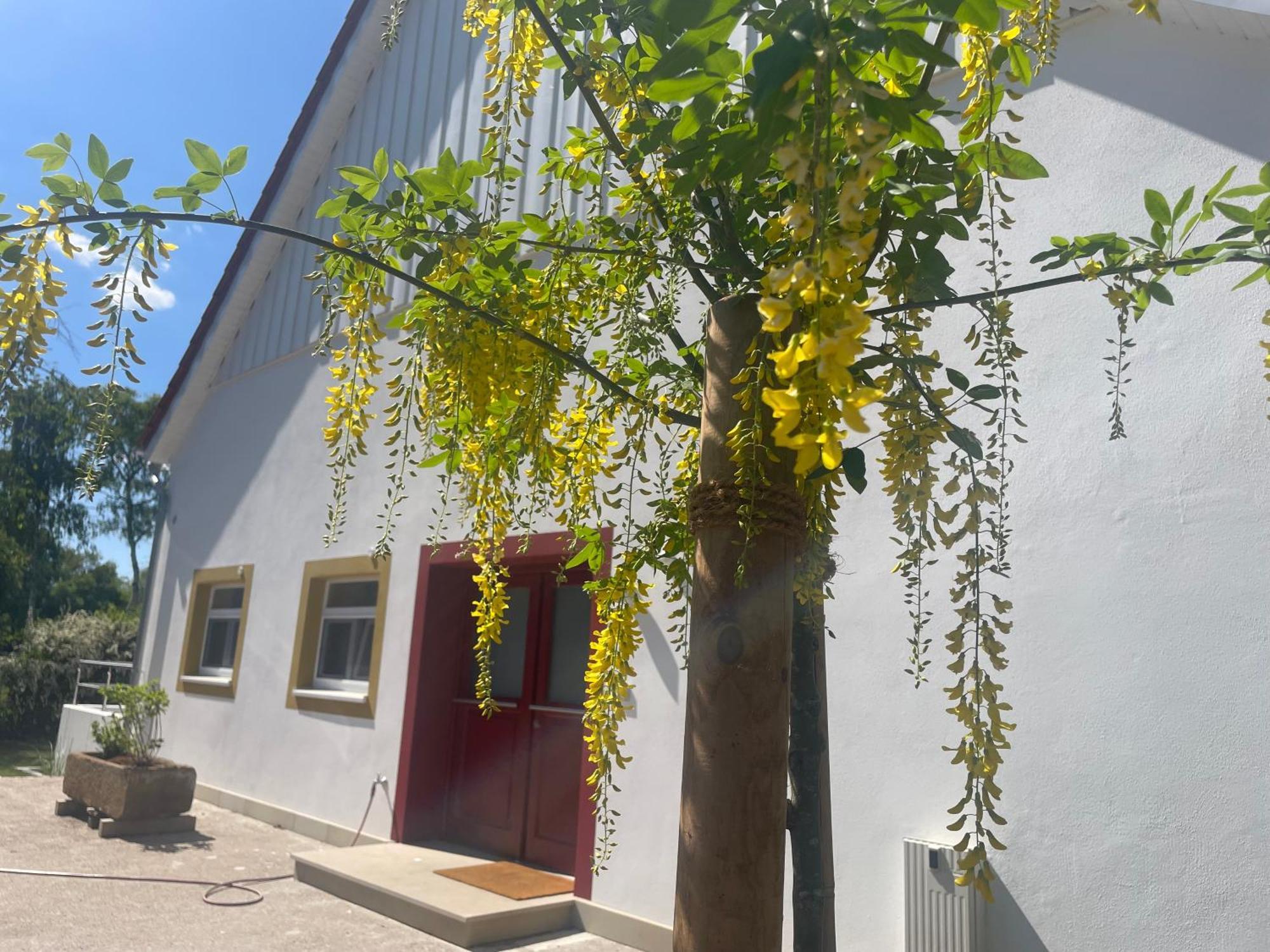 Appartement Mit 2 Schlafzimmern Und Terrasse Halle  Екстериор снимка